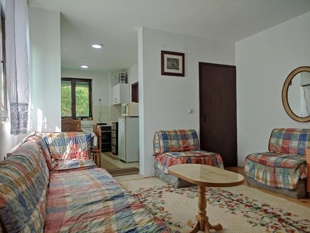 Villa Cozy House Cvetkovic Ni Exterior foto